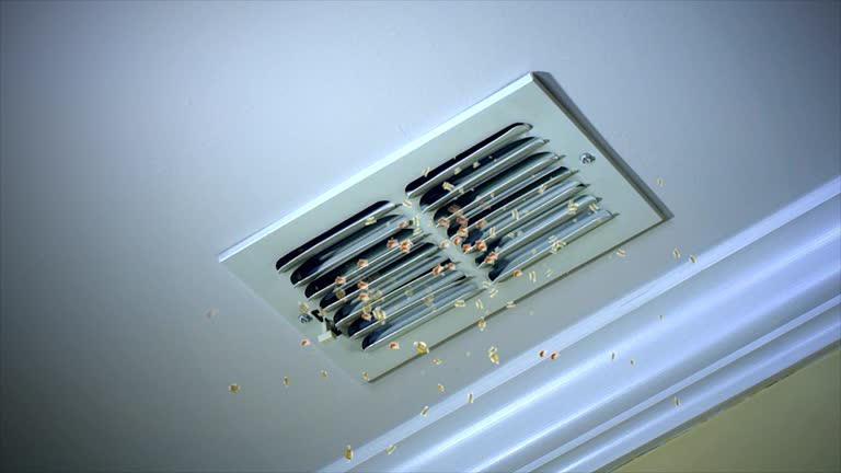 Best Affordable Duct Cleaning Services  in Byron, IL